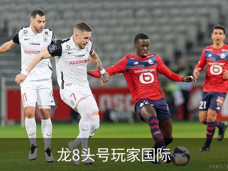 走进龙8头号玩家国际